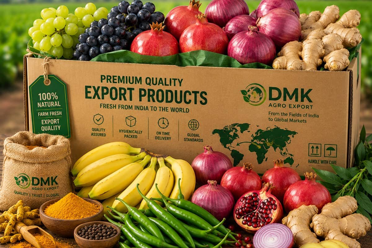 Export documentation guide