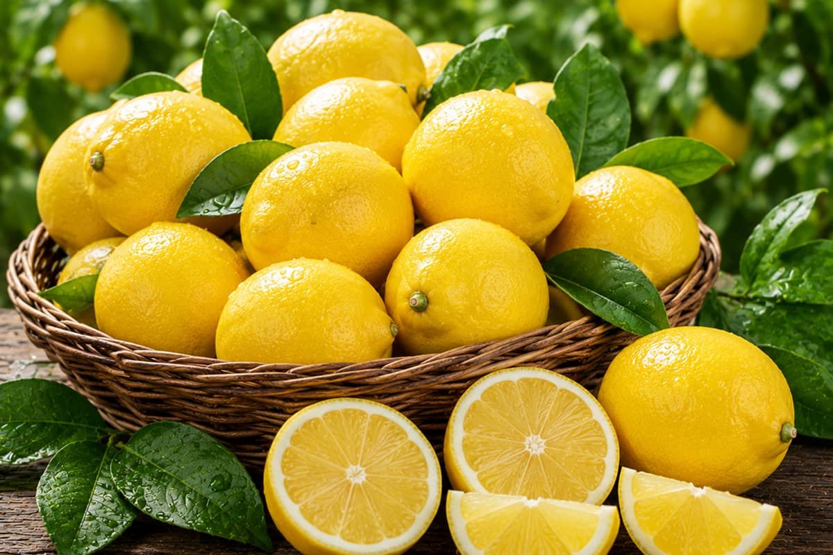 Lemon