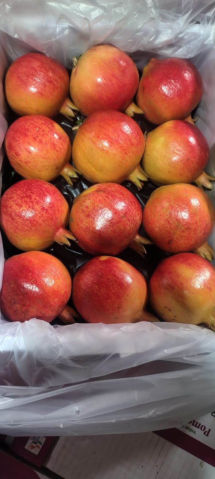 Why Import Fresh Produce from India to Bahrain?