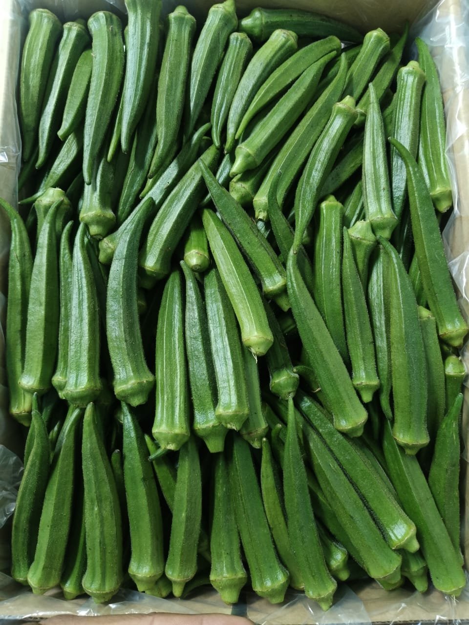Why Source Fresh Produce from India for the UK Market?