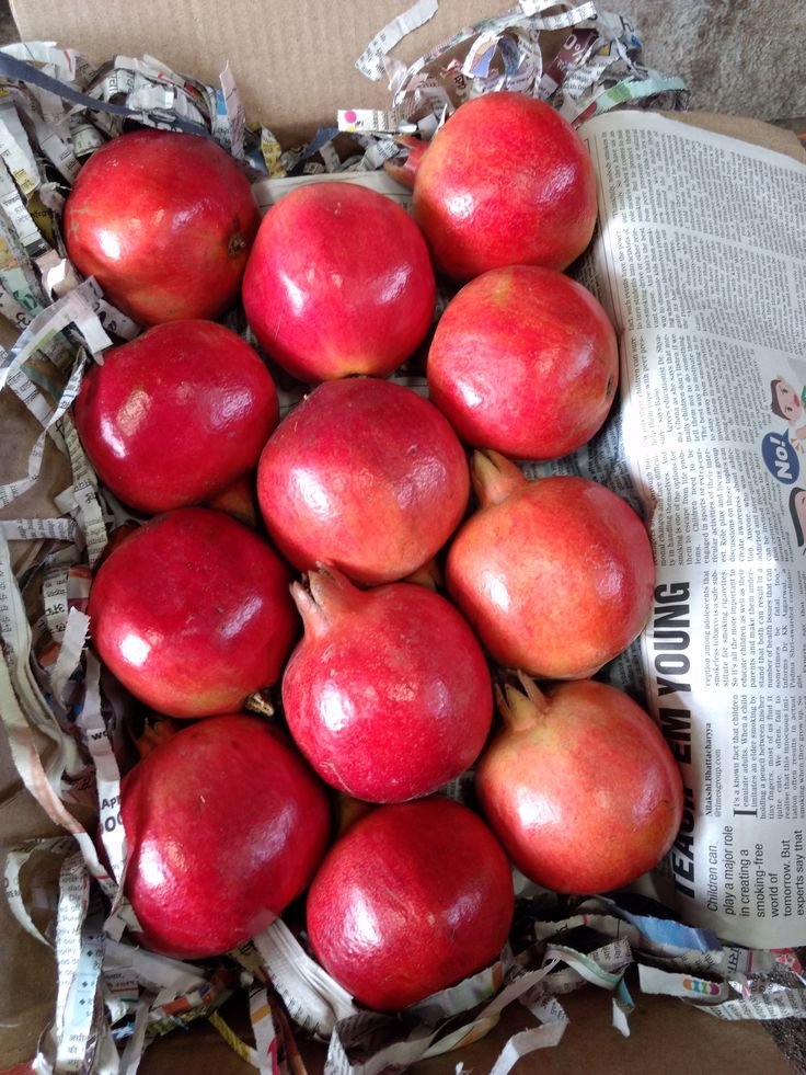 Why Source Agricultural Products from India for the USA?