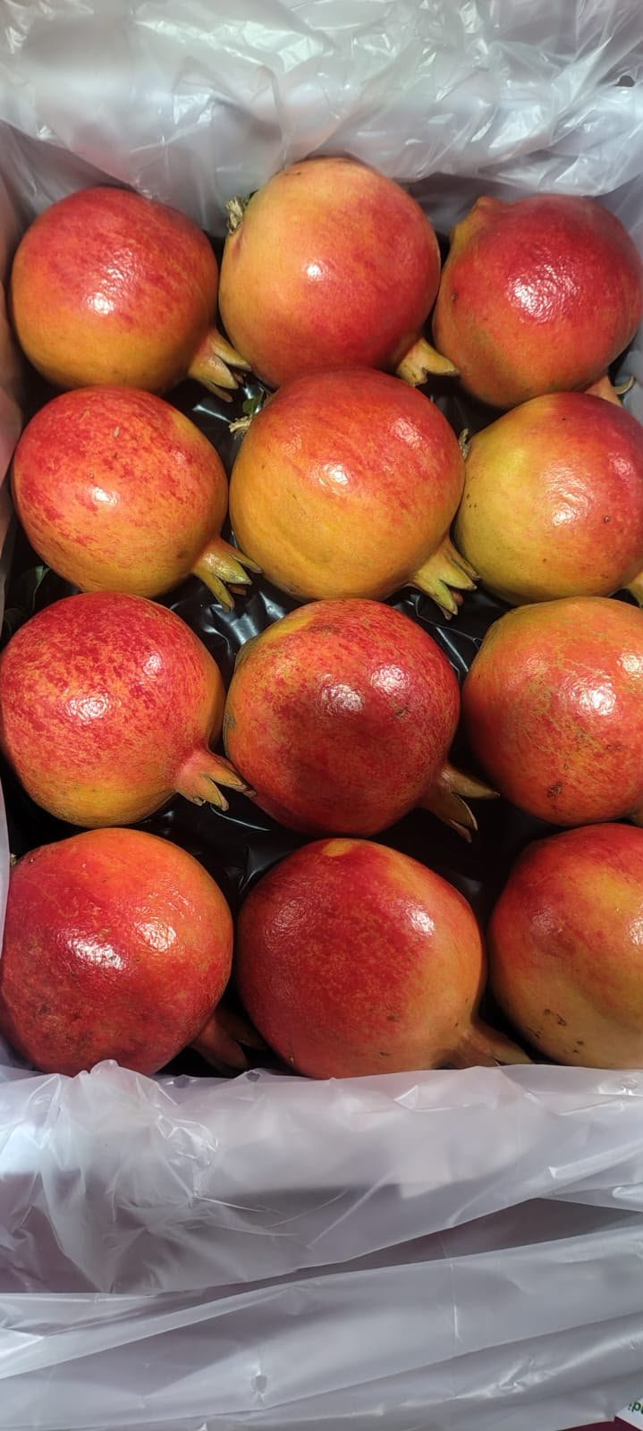 Pomegranate